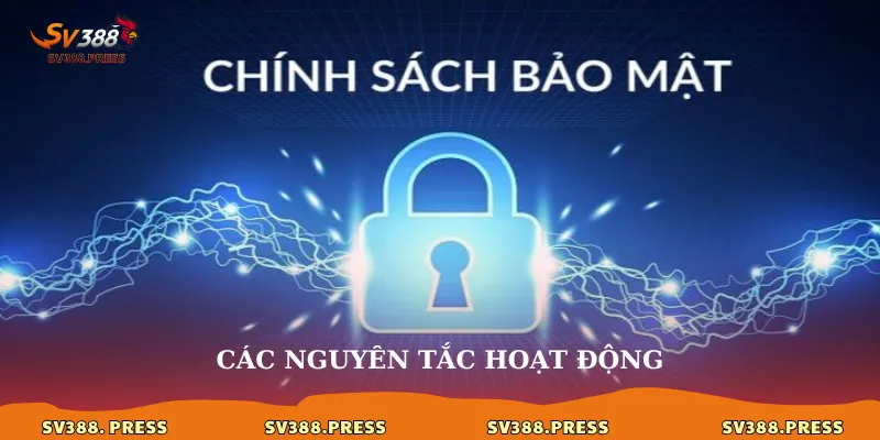 Chính sách bảo mật 2 Các nguyên tắc hoạt động