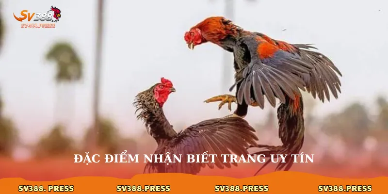 Đặc điểm nhận biết trang uy tín