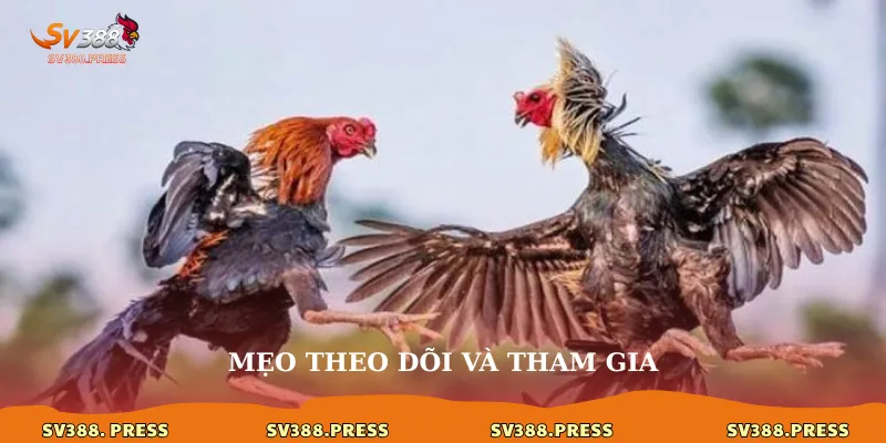 Mẹo theo dõi và tham gia