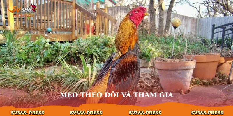 Mẹo theo dõi và tham gia