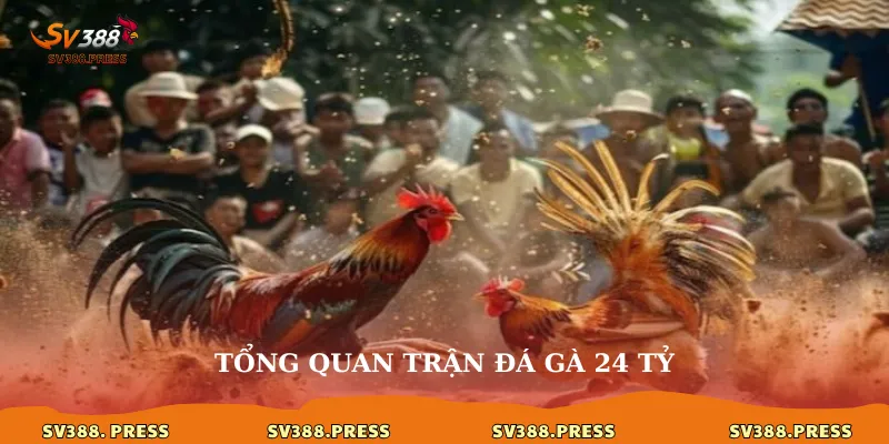 Trận đá gà 24 tỷ: Huyền thoại một thời và sức hút tại sv388 2 Tổng quan trận đá gà 24 tỷ